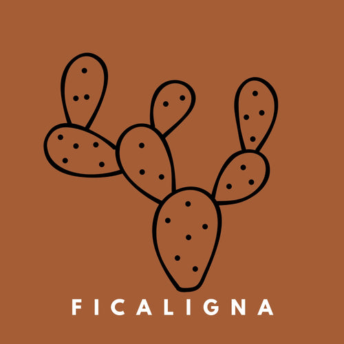 FICALIGNA