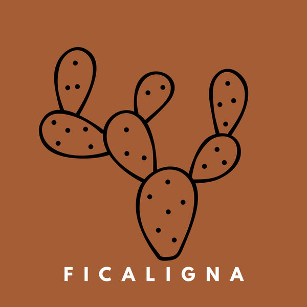FICALIGNA